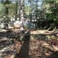 8117 Treetop Ln, Pensacola, FL 32514 ID:316656