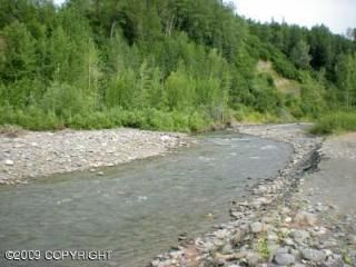 L55 Cache Creek Recreational, Trapper Creek, AK 99683