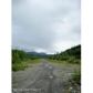 L55 Cache Creek Recreational, Trapper Creek, AK 99683 ID:1084014