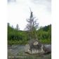 L55 Cache Creek Recreational, Trapper Creek, AK 99683 ID:1084016