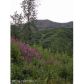 L55 Cache Creek Recreational, Trapper Creek, AK 99683 ID:1084019