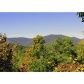 817 New Liberty Trail, Ellijay, GA 30536 ID:1403698