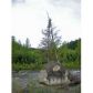 Lot 9 Cache Creek Recreational, Trapper Creek, AK 99683 ID:1083811