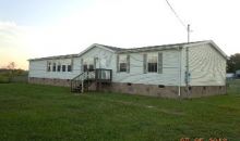 1161 Leadmine Road White Pine, TN 37890