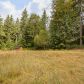 63063 E Rufus Ridge Lane, Brightwood, OR 97011 ID:874268