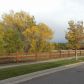 21542 East 41st Place, Denver, CO 80249 ID:1132482