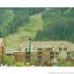 Dercum Sq Unit 8532, Dillon, CO 80435 ID:870298