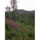 Lot 16 Cache Creek Recreational, Trapper Creek, AK 99683 ID:1083794