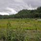 Lot 16 Cache Creek Recreational, Trapper Creek, AK 99683 ID:1083796