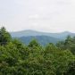 408 Hiawatha Trail, Blue Ridge, GA 30513 ID:1394687