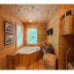 278 Greenridge Road, Blue Ridge, GA 30513 ID:1404411