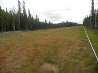 Lot 9 Timber Trail, North Pole, AK 99705