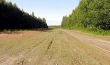 A002 Parks Highway S Talkeetna, AK 99676