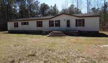 165 Reginas Pl Georgetown, SC 29440