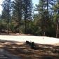 11777 Tulane Drive, Nevada City, CA 95959 ID:1145995