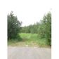 2851 E Palmer-Wasilla Highway, Wasilla, AK 99654 ID:1079978