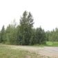 2851 E Palmer-Wasilla Highway, Wasilla, AK 99654 ID:1079983