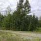 2851 E Palmer-Wasilla Highway, Wasilla, AK 99654 ID:1079985