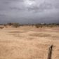 000 W 237th Avenue, Wittmann, AZ 85361 ID:1300042