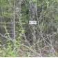 18264 Loveall Loop, Clam Gulch, AK 99568 ID:1110563