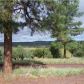 1441 Capps Ranch Road, Pinedale, AZ 85934 ID:1452701