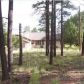 1441 Capps Ranch Road, Pinedale, AZ 85934 ID:1452705