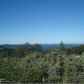 23515 Snow Tent Rd, Nevada City, CA 95959 ID:1146491