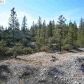 13751 Sailor Flat Rd, Nevada City, CA 95959 ID:1146225