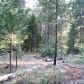 13231 Lee Lane, Nevada City, CA 95959 ID:1146097