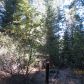 22778 Missouri Ridge, Nevada City, CA 95959 ID:1145682