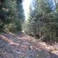 22778 Missouri Ridge, Nevada City, CA 95959 ID:1145683