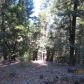 22778 Missouri Ridge, Nevada City, CA 95959 ID:1145686