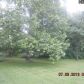 11194 Greenhaven St Sw, Navarre, OH 44662 ID:772579