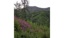 Lot 91 Cache Creek Recreational Trapper Creek, AK 99683