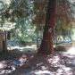 100 Woods Ct, Nevada City, CA 95959 ID:1146440