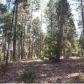 11145 New York Canyon, Nevada City, CA 95959 ID:1145657