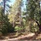 11145 New York Canyon, Nevada City, CA 95959 ID:1145662