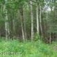 19141 Spruce Crest Drive, Chugiak, AK 99567 ID:1492998