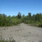 000 W Glenn Highway, Chugiak, AK 99567 ID:1493007