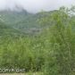 Mile 7 Eklutna Lake Road, Chugiak, AK 99567 ID:1493419