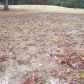 Lot 5 country Club Rd, Hope, AR 71801 ID:1106462