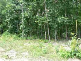 LOT 20 RUSHING Rd, Little Rock, AR 72210