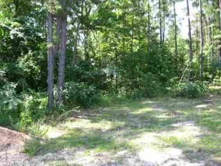 17635 Corrigan Trail, Mabelvale, AR 72103