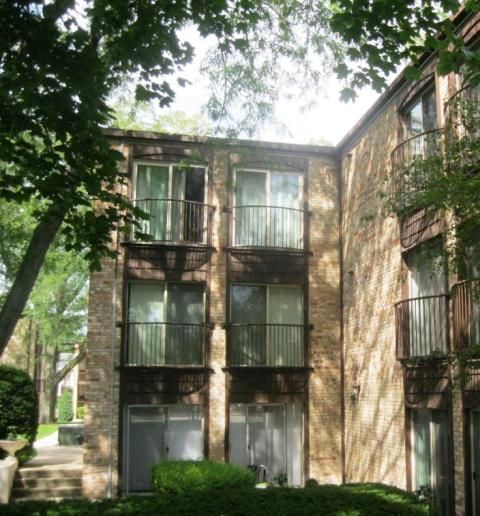 1920 Cherry Lane Unit 320, Northbrook, IL 60062