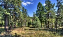 465 Bluebird Lane Bailey, CO 80421