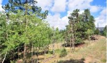 345 Catamount Ridge Road Bailey, CO 80421