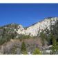 41505 Alder Dr., Forest Falls, CA 92339 ID:1132897