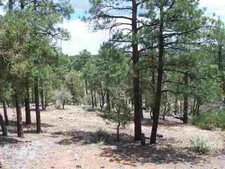 Lot 9 Pine Oaks, Show Low, AZ 85901