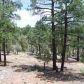 Lot 9 Pine Oaks, Show Low, AZ 85901 ID:1314687