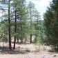 Lot 9 Pine Oaks, Show Low, AZ 85901 ID:1314689